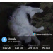  Hochgeladen am 14.03.2026 00:00:00Любовь Александровна 