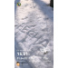  Hochgeladen am 16.03.2026 00:00:00Николаева Тиана 
