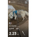  Hochgeladen am 25.03.2026 00:00:00Зиянбаева Анна 