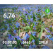  Hochgeladen am 04.04.2026 00:00:00Проскурина Эльвира 