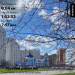  Hochgeladen am 07.04.2026 00:00:00Осьминина Светлана 