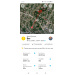  Hochgeladen am 10.04.2026 00:00:00Литвинова Анна 