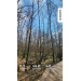  Hochgeladen am 12.04.2026 00:00:00Амелькина Екатерина 