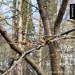  Hochgeladen am 13.04.2026 00:00:00Белоглазова Юлия 