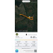  Hochgeladen am 14.04.2026 00:00:00Тищенко Евгения 