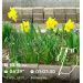 Hochgeladen am 16.04.2026 00:00:00Вершинина Ольга 