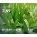  Hochgeladen am 17.04.2026 00:00:00Проскурина Эльвира 