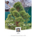  Hochgeladen am 18.04.2026 00:00:00Любовь Александровна 