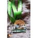 Загрузка от 18.04.2026 00:00:00 Головина Елизавета 