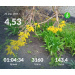  Hochgeladen am 20.04.2026 00:00:00Проскурина Эльвира 