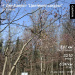  Hochgeladen am 25.04.2026 00:00:00Белоглазова Юлия 