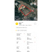  Hochgeladen am 30.04.2026 00:00:00Петров Дмитрий 