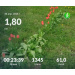  Hochgeladen am 30.04.2026 00:00:00Проскурина Эльвира 