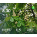  Hochgeladen am 03.05.2026 00:00:00Проскурина Эльвира 