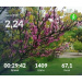  Hochgeladen am 02.05.2026 00:00:00Проскурина Эльвира 