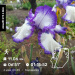  Hochgeladen am 04.05.2026 00:00:00Вершинина Ольга 