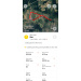 Hochgeladen am 07.05.2026 00:00:00Петров Дмитрий 