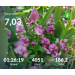  Hochgeladen am 06.05.2026 00:00:00Проскурина Эльвира 
