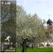  Hochgeladen am 09.05.2026 00:00:00Ясинская Екатерина 