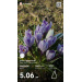  Hochgeladen am 09.05.2026 00:00:00Котикова Елена 