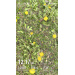  Hochgeladen am 09.05.2026 00:00:00Харламова Анна 