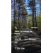  Hochgeladen am 09.05.2026 00:00:00Шиверский Денис 