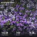  Hochgeladen am 10.05.2026 00:00:00Прохорова Любовь 