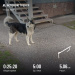  Hochgeladen am 11.05.2026 00:00:00Прохорова Любовь 