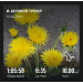  Hochgeladen am 12.05.2026 00:00:00Суворова Анна 