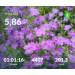  Hochgeladen am 13.05.2026 00:00:00Проскурина Эльвира 
