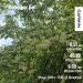  Hochgeladen am 12.05.2026 00:00:00Маракулина Татьяна 