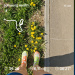 Hochgeladen am 16.05.2026 00:00:00Первушина Анна 