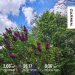  Hochgeladen am 16.05.2026 00:00:00Ходос Светлана 