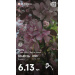  Загрузка от 17.05.2026 00:00:00 Горшкова Наталья 