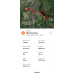  Hochgeladen am 18.05.2026 00:00:00Барабанов Дмитрий 