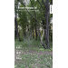  Hochgeladen am 19.05.2026 00:00:00Буланенков Павел 