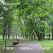 Hochgeladen am 25.05.2026 00:00:00Колупаева Екатерина 