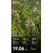  Hochgeladen am 27.05.2026 00:00:00Морякова Дарья 
