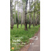  Hochgeladen am 31.05.2026 00:00:00Галлямова Лейсан 
