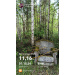  Hochgeladen am 31.05.2026 00:00:00Полканова Елена 