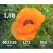  Hochgeladen am 02.06.2026 00:00:00Проскурина Эльвира 