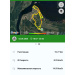  Hochgeladen am 02.06.2026 00:00:00Воронцова Анна 