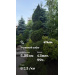  Hochgeladen am 03.06.2026 00:00:00Шахворостова Антонина 