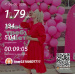  Hochgeladen am 06.06.2026 00:00:00Лукманова Лиана 