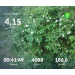  Hochgeladen am 06.06.2026 00:00:00Проскурина Эльвира 