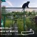  Hochgeladen am 10.06.2026 00:00:00Ганцевский Николай 
