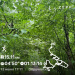  Hochgeladen am 13.06.2026 00:00:00Ганцевский Николай 