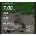  Hochgeladen am 14.06.2026 00:00:00Зякина Екатерина 