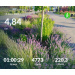  Hochgeladen am 15.06.2026 00:00:00Проскурина Эльвира 