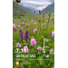  Hochgeladen am 24.06.2026 00:00:00Головина Елизавета 